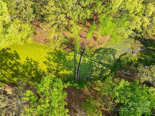 4896 Pageland Hwy, Lancaster, SC 29720 - aerial view
