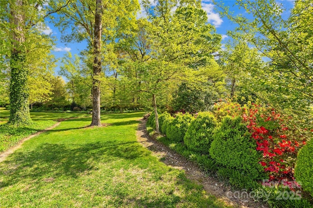 4896 Pageland Hwy, Lancaster, SC 29720 - view of grassy yard