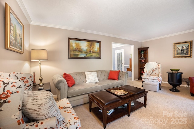 147 Spring Shore Rd, Statesville, NC 28677 - carpeted living area with baseboards and crown molding