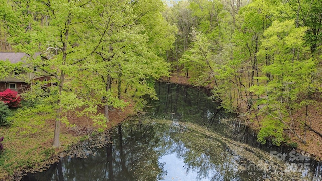 147 Spring Shore Rd, Statesville, NC 28677 - drone / aerial view featuring a water view and a view of trees