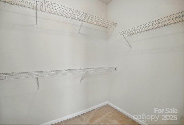 walk in closet featuring light carpet