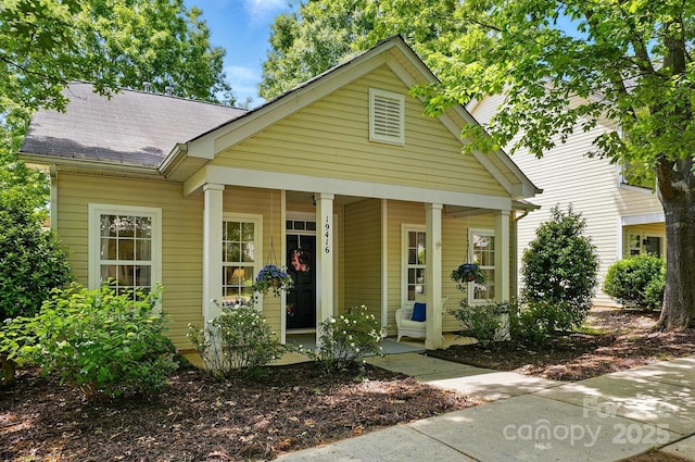 view of front facade featuring covered porch and roof with shingles