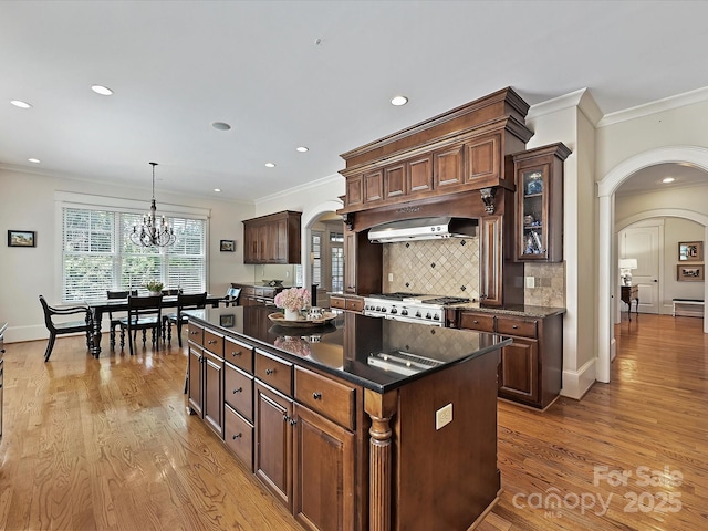 kitchen featuring ornamental molding, light wood-type flooring, and arched walkways
