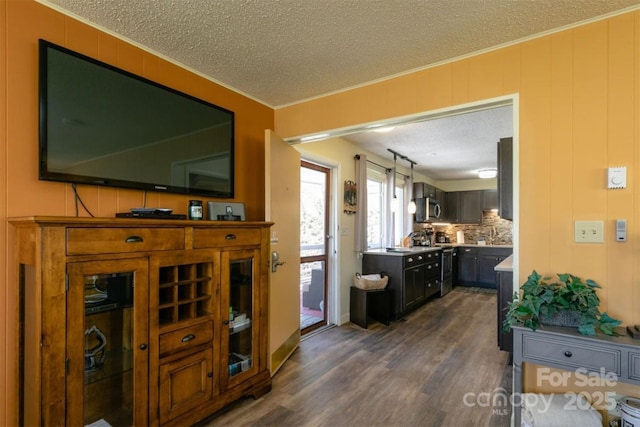 living room with ornamental molding, a decorative wall, dark wood-style floors, and a textured ceiling