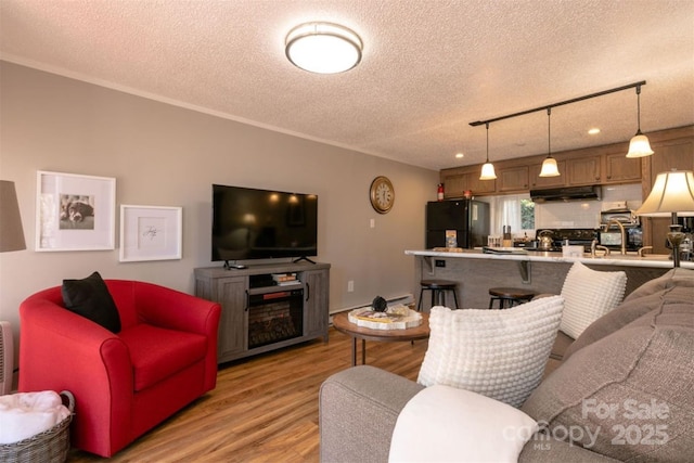 living room with light wood finished floors and a textured ceiling
