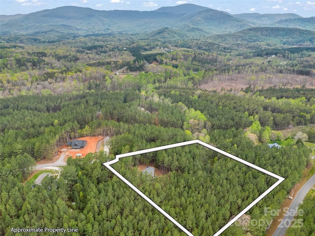 120 Ashley Ct, Mill Spring, NC 28756 - drone / aerial view featuring a forest view and a mountain view