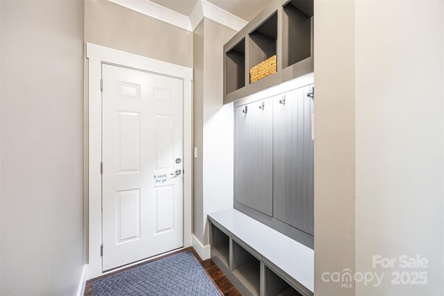 mudroom featuring dark wood-type flooring
