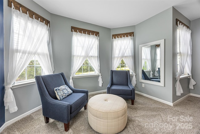 sitting room with baseboards and carpet