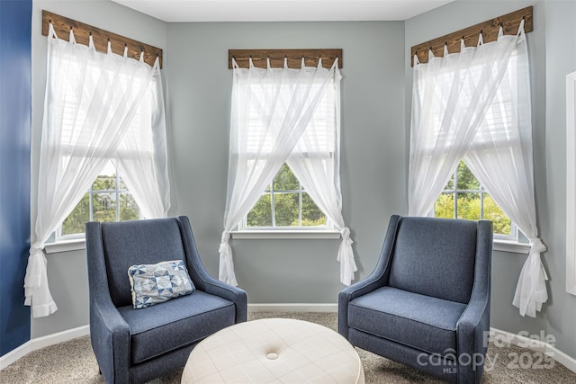 sitting room featuring carpet floors, baseboards, and a wealth of natural light