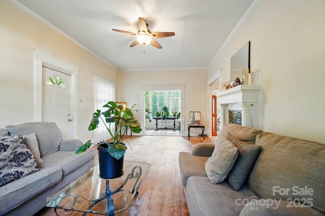 247 W Park Ave, Charlotte, NC 28203 - living room featuring ornamental molding, ceiling fan, hardwood / wood-style floors, and a fireplace