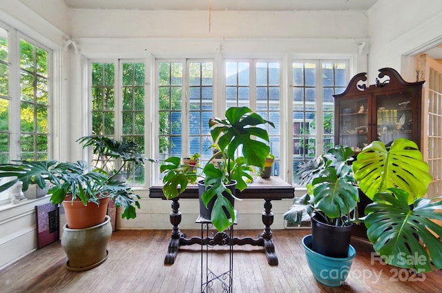 247 W Park Ave, Charlotte, NC 28203 - sunroom with hardwood / wood-style flooring
