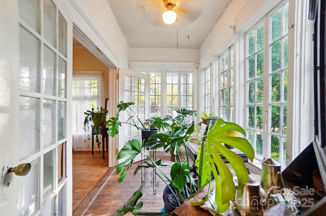 247 W Park Ave, Charlotte, NC 28203 - sunroom with french doors, a wealth of natural light, and wood finished floors