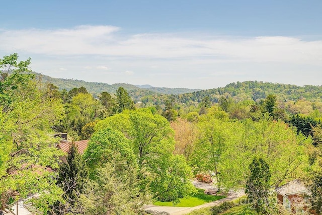 property view of mountains featuring a wooded view