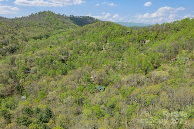 view of mountain feature with a view of trees