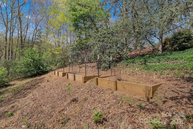 view of yard featuring a vegetable garden