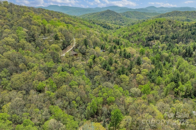 bird's eye view featuring a mountain view and a forest view