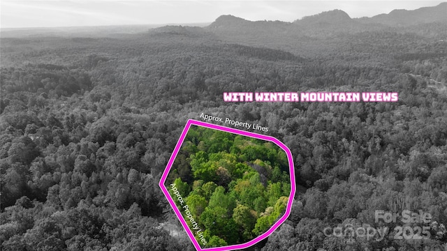 447 Cherokee Cir, Tryon, NC 28782 - photo 5