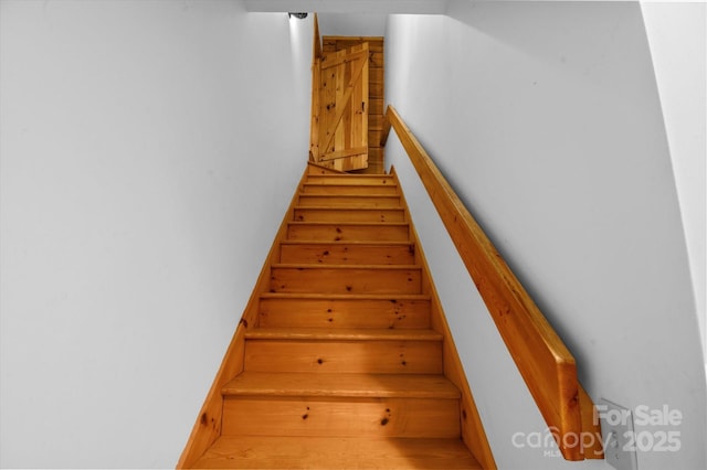 447 Cherokee Cir, Tryon, NC 28782 - photo 33
