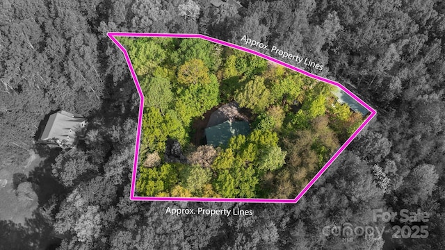 447 Cherokee Cir, Tryon, NC 28782 - photo 37