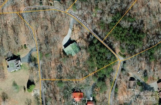 447 Cherokee Cir, Tryon, NC 28782 - photo 38