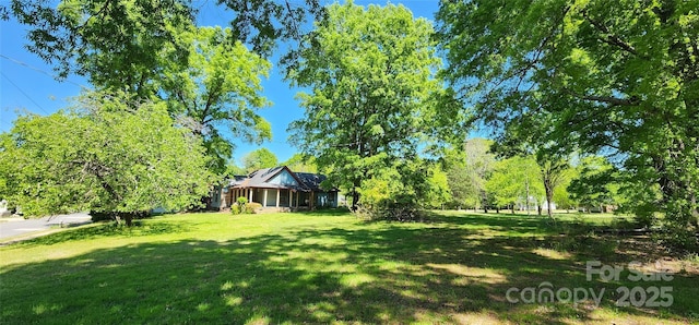 view of yard