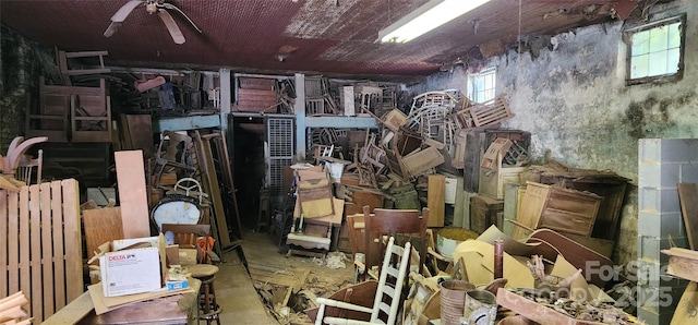 storage room featuring ceiling fan