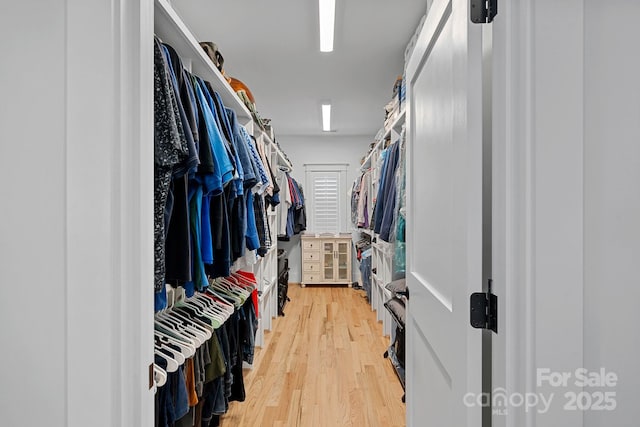spacious closet with light wood-type flooring