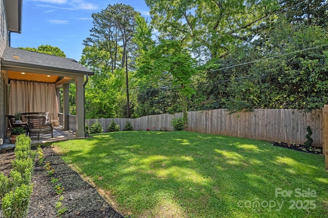 view of yard with a patio and a fenced backyard
