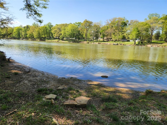 123 Pumice Dr, Statesville, NC 28625 - water view