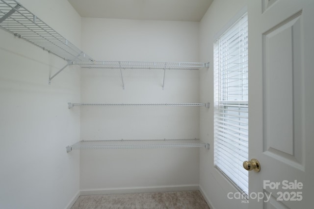 1144 Spicewood Pines Rd, Fort Mill, SC 29708 - view of spacious closet