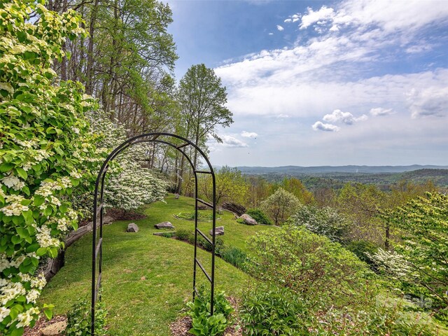 1300 Randy Dr, Hendersonville, NC 28791 - photo 31