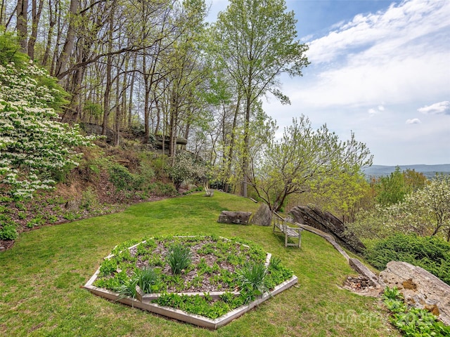 1300 Randy Dr, Hendersonville, NC 28791 - photo 32