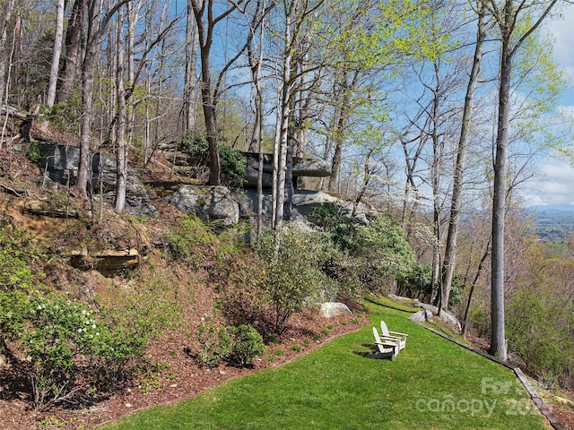 1300 Randy Dr, Hendersonville, NC 28791 - photo 33