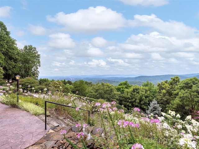 1300 Randy Dr, Hendersonville, NC 28791 - photo 43