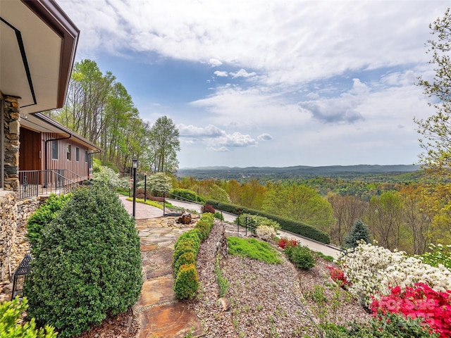 1300 Randy Dr, Hendersonville, NC 28791 - photo 46