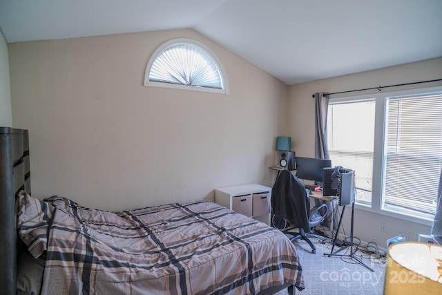 bedroom with vaulted ceiling