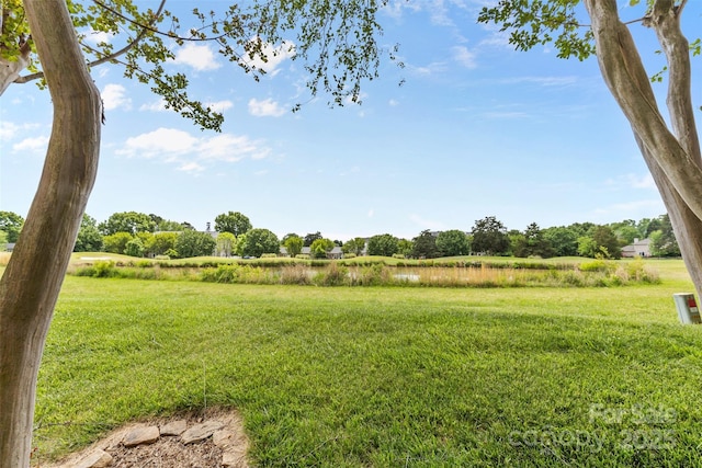 10942 Winterbourne Ct, Charlotte, NC 28277 - photo 26