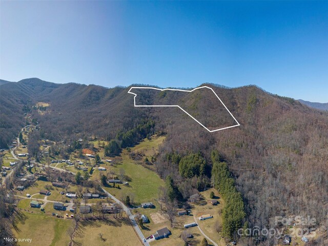 00 Big Cove Rd, Waynesville, NC 28786 - photo 2