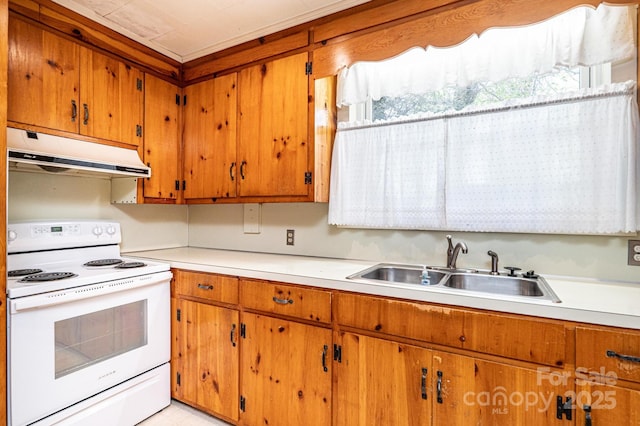 kitchen featuring a sink, light countertops, exhaust hood, and electric stove