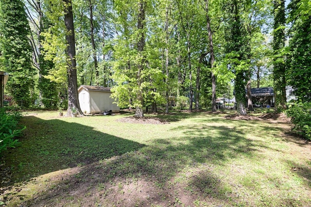 view of yard with a shed and an outdoor structure