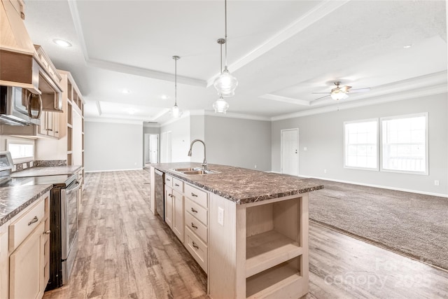 kitchen featuring a sink, a tray ceiling, open shelves, open floor plan, and appliances with stainless steel finishes