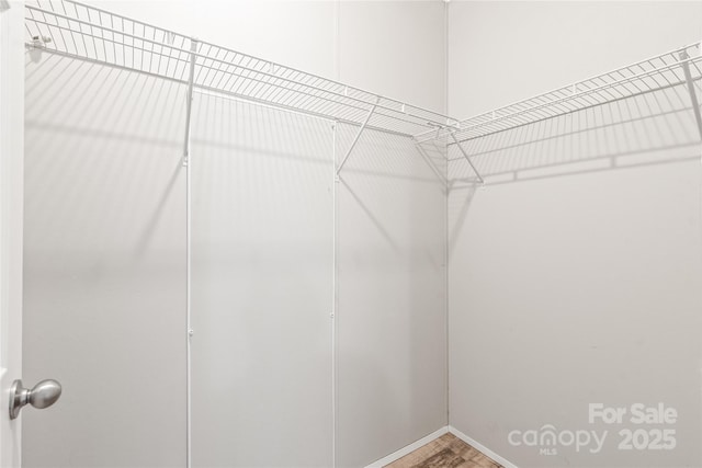 walk in closet with wood finished floors
