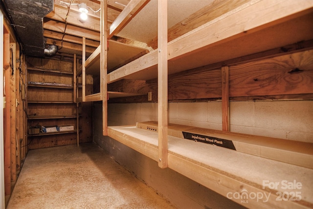 6008 Corkstone Dr, Mint Hill, NC 28227 - view of storage area