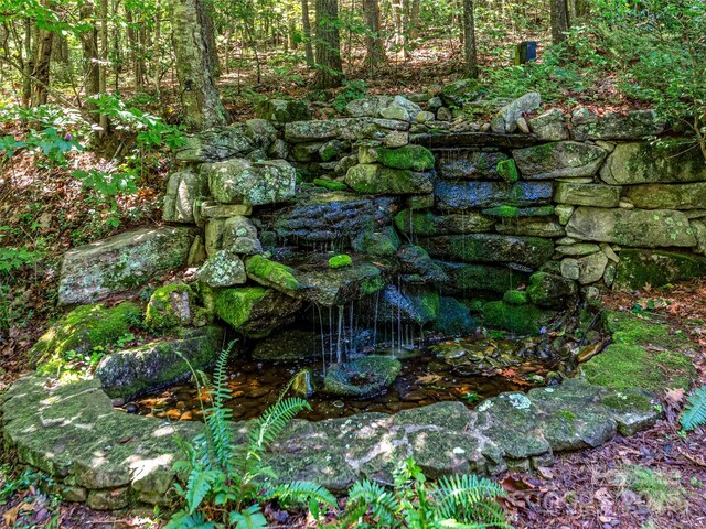309 Old Farm School Rd, Asheville, NC 28805 - photo 23