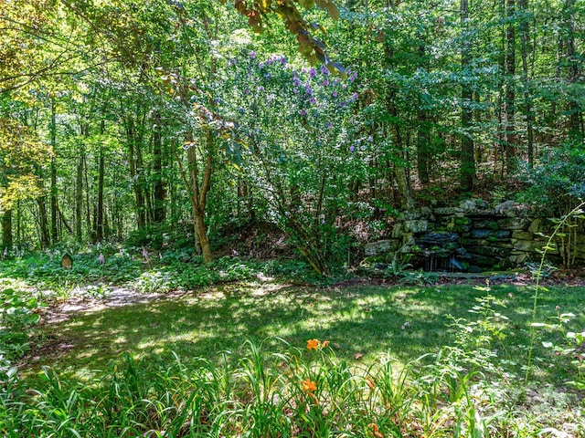 309 Old Farm School Rd, Asheville, NC 28805 - photo 24