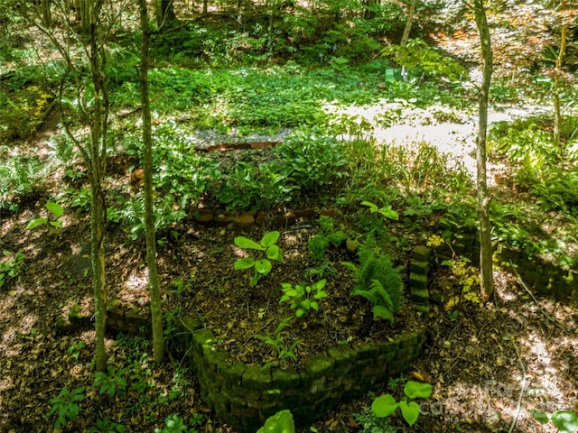309 Old Farm School Rd, Asheville, NC 28805 - photo 27