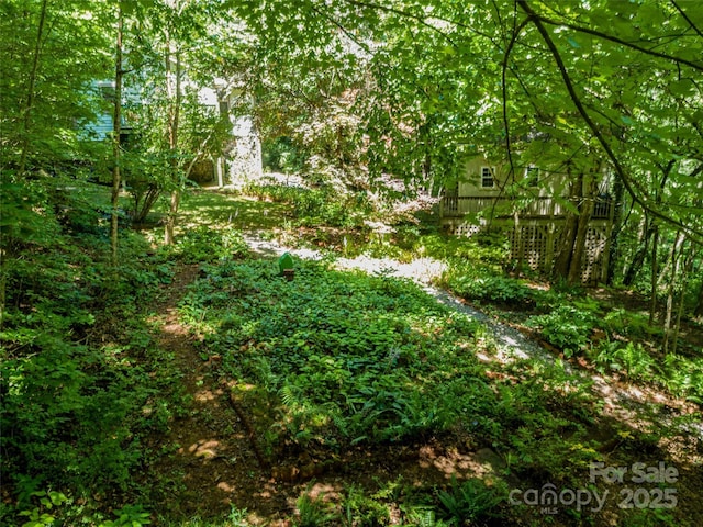 309 Old Farm School Rd, Asheville, NC 28805 - photo 28