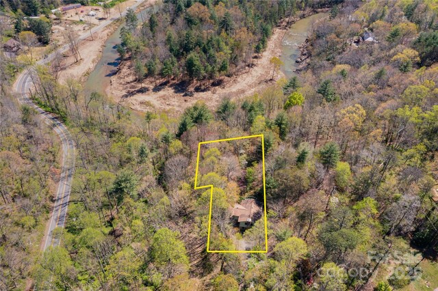 309 Old Farm School Rd, Asheville, NC 28805 - photo 31