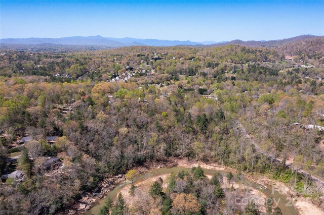 309 Old Farm School Rd, Asheville, NC 28805 - photo 32