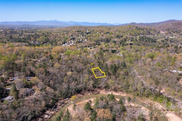 309 Old Farm School Rd, Asheville, NC 28805 - photo 33